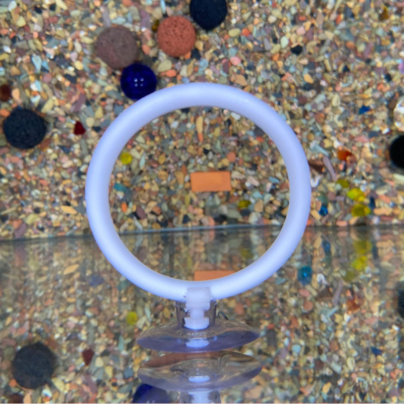 Gymnastics Rings - 1pcs Plastic Fish Tank Aquarium Artificial