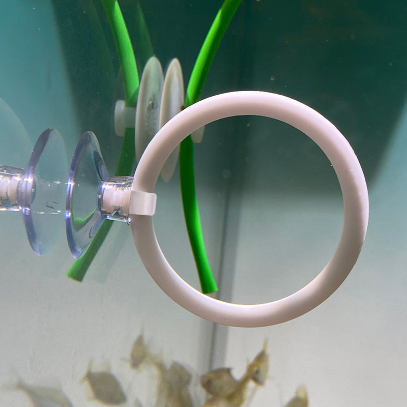 1pcs Plastic Fish Tank Aquariu – обзор и цена Gymnastics Rings